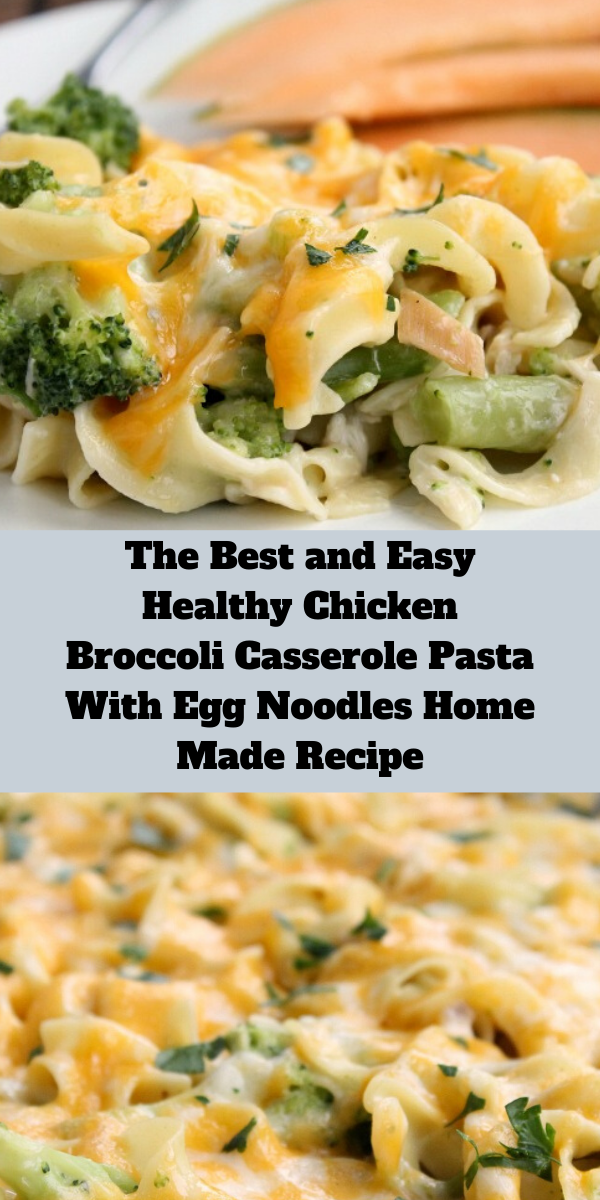 The Best and Easy Healthy Chicken Broccoli Casserole Pasta With Egg Noodles Home Made Recipe